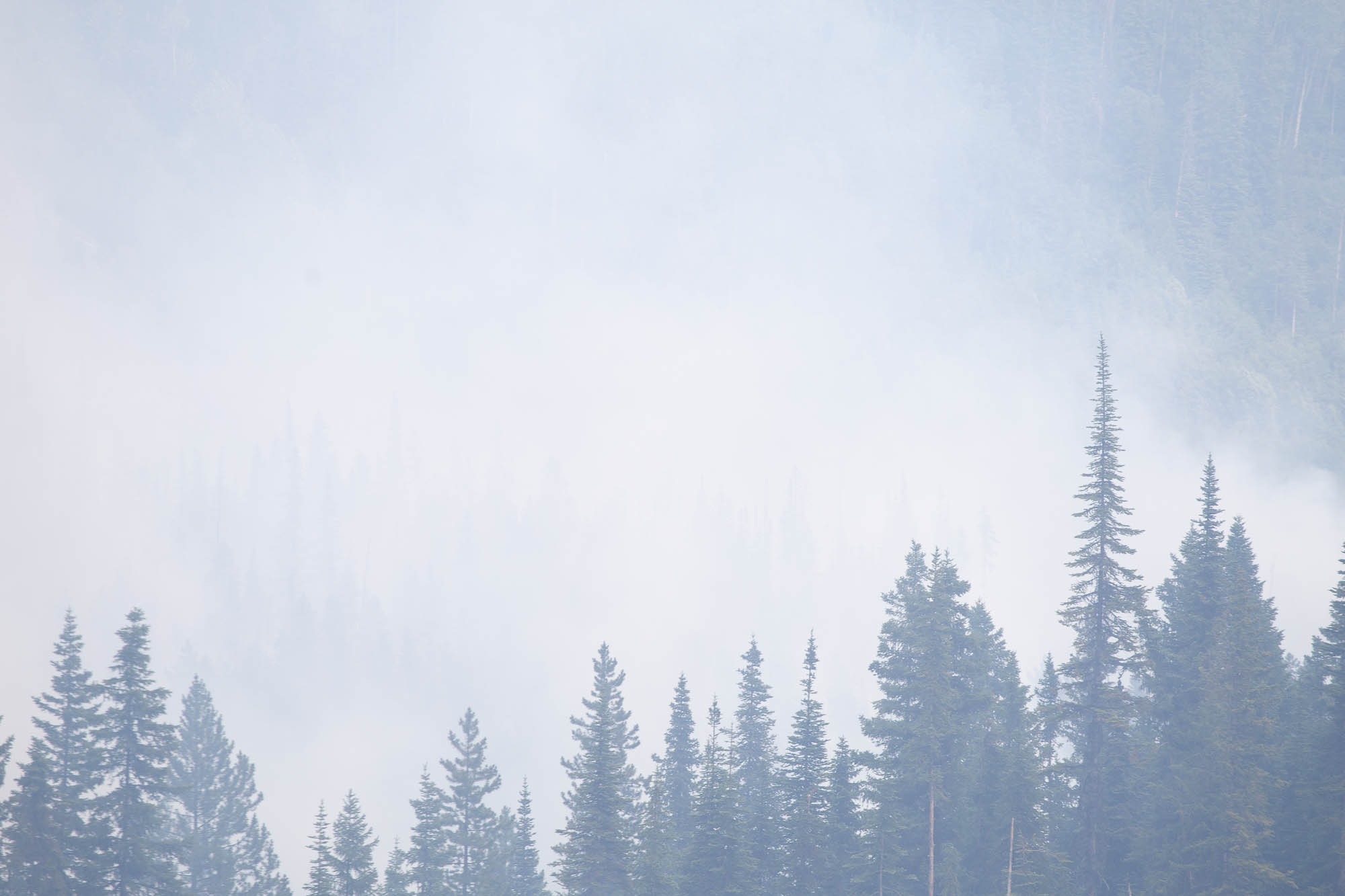 Tentfire Creek Fire, July 3 - Tumbler RidgeLines