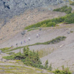 2023-08-12 Emperor’s Challenge-by-Trent-Ernst-TumblerRidgeLines125_web